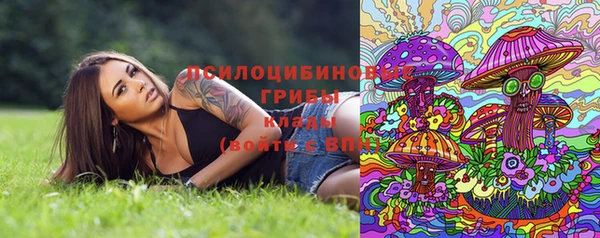 первитин Алексин