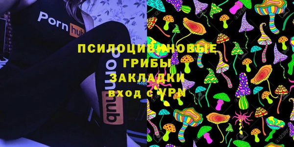 первитин Алексин