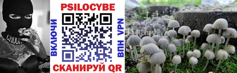 купить  сайты  Белебей  Галлюциногенные грибы Psilocybine cubensis 